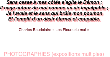 Sans cesse à mes côtés s’agite le Démon ;
Il nage autour de moi comme un air impalpable ;
Je l’avale et le sens qui brûle mon poumon
Et l’emplit d’un désir éternel et coupable.

Charles Baudelaire « Les Fleurs du mal »




PHOTOGRAPHIES (expositions multiples)
