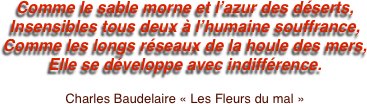 Comme le sable morne et l’azur des déserts,
Insensibles tous deux à l’humaine souffrance,
Comme les longs réseaux de la houle des mers,
Elle se développe avec indifférence.

Charles Baudelaire « Les Fleurs du mal »
